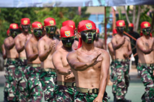 Tampilkan Atraksi Kolone Senapan dan Demonstrasi Beladiri Pada Hut ke-74 TNI
