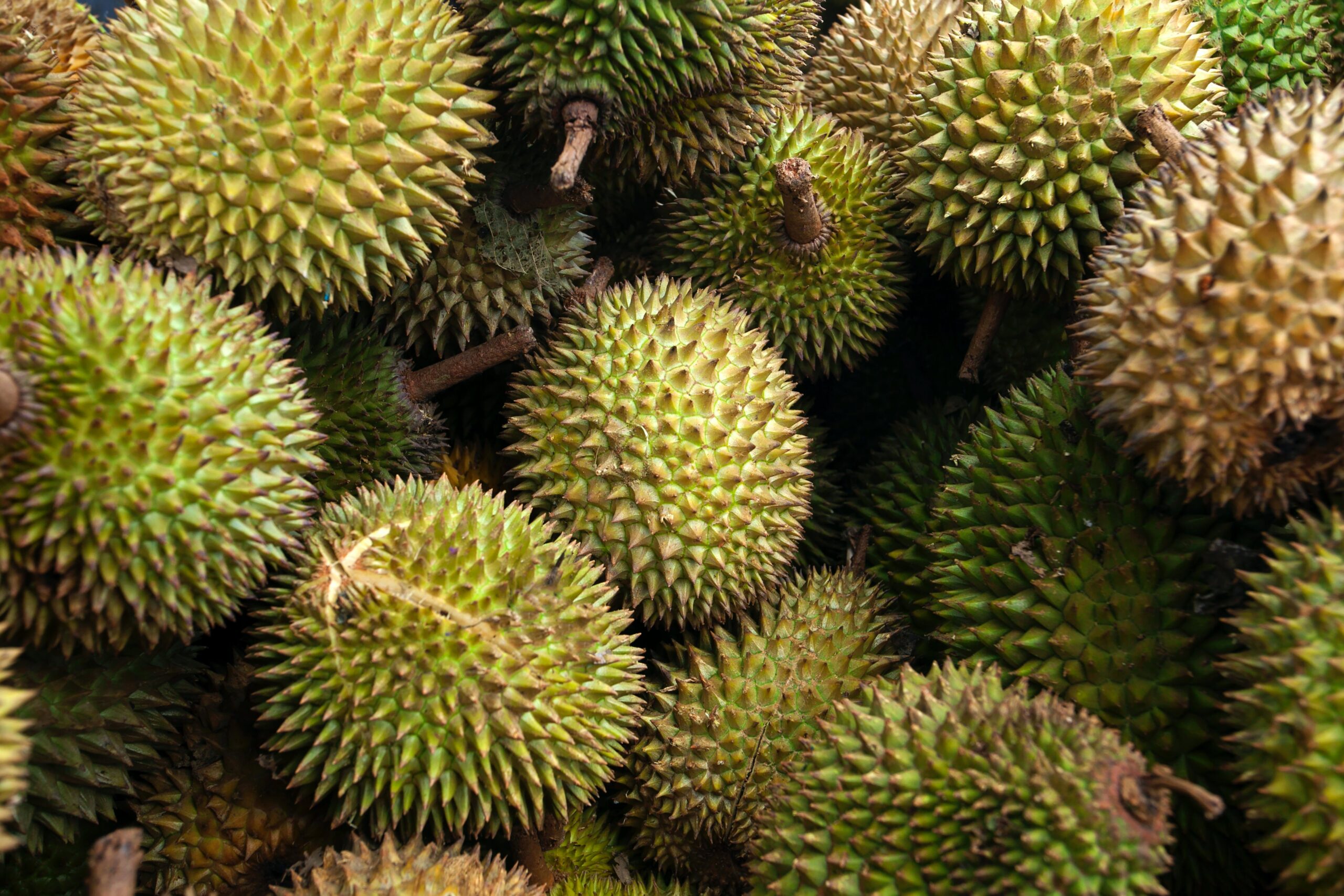 Bahaya Konsumsi Durian Berlebihan: Perlu Waspada!
